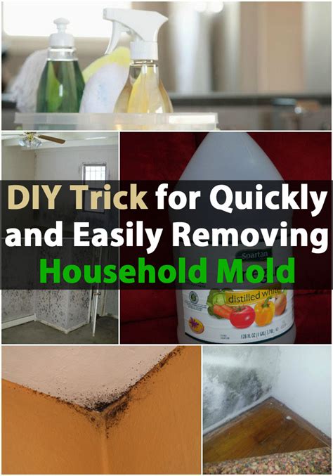 Diy Trick For Quickly And Easily Removing Household Mold Diy And Crafts