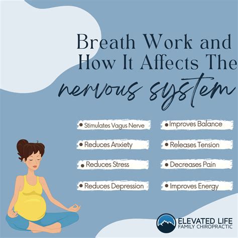 Breath Work And How It Affects The Nervous System — Elevated Life