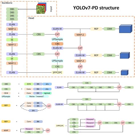 Frontiers Rapid Detection Of Yunnan Xiaomila Based On Lightweight