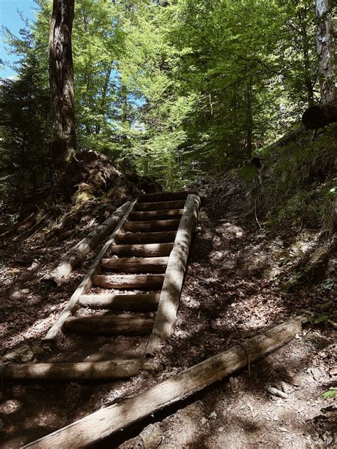 Wandern Vor Den Toren Münchens Die Schönsten Touren In Den Münchner