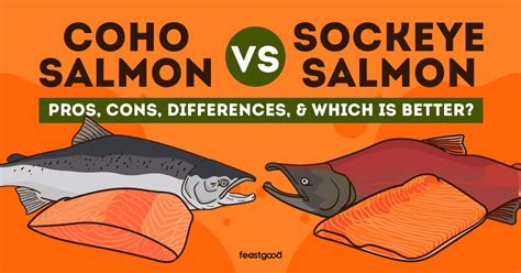 Coho vs Sockeye Salmon: What Are The Differences? - FeastGood.com