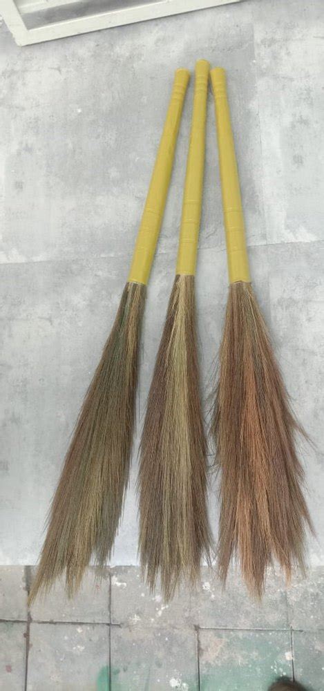 Broom Grass At Best Price In India