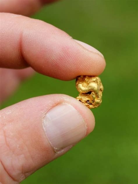 6 Types Of Rocks That Contain Gold Rock Seeker