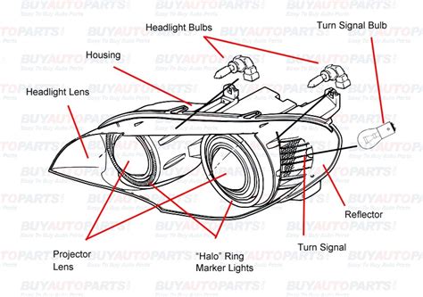 Headlight Bulb Shield Diagram Best Headlight Bulbs