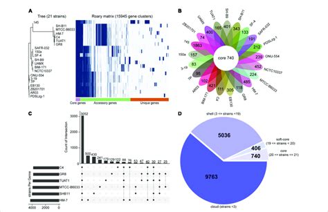 Pan Core Genome Analysis Of 21 Strains Of B Pumilus A Gene Download Scientific Diagram