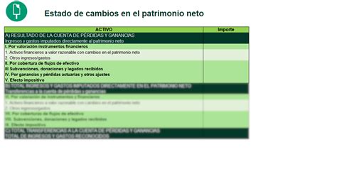 Plantilla Estado Cambios Patrimonio Neto Descarga GRATIS