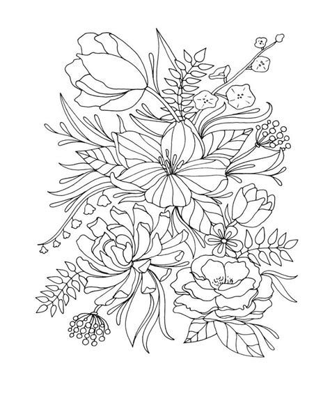 Camellia Flowers Coloring Pages & coloring book.