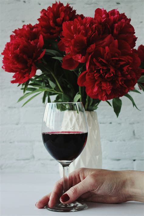 Person Holding Drinking Glass of Water · Free Stock Photo