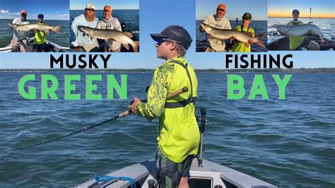 GREEN BAY MUSKIES With Brian Klein MULTIPLE MUSKY CAUGHT And LURES AND