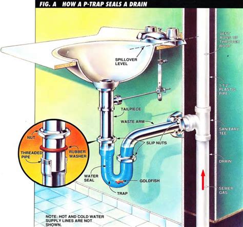 Bathroom Sink Drain Types – Semis Online