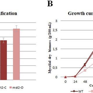 Germination of conidia from the wild type and Δmst2 under light ...
