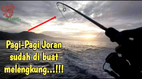 Edyaan Pagi Pagi Joran Sudah Melengkung Tajam Di Tarik Ikan