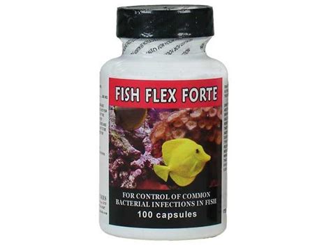 Fish Flex Forte 500mg 100 Capsules