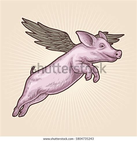 Flying Pig Handdrawn Vector Illustration Stock Vector Royalty Free