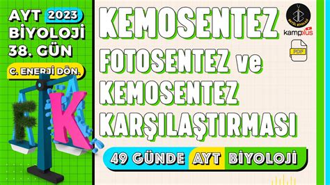 38 Kemosentez ve Fotosentez Kemosentez Karşılaştırma 12 Sınıf