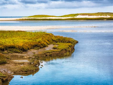 Too Much Season 1 (2025): Release Date, Plot, Cast - Parade