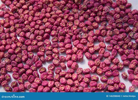 Special Processing Seeds On A White Background Stock Photo - Image of ...