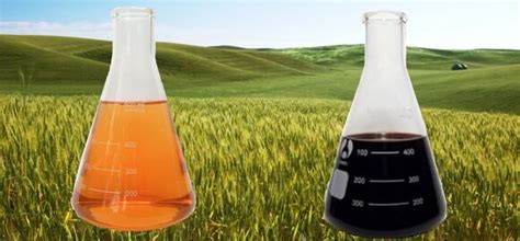 Гуминовые и фульвовые кислоты их происхождение и назначение