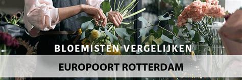 Bloemen Bezorgen Europoort Rotterdam Boeket Bestellen 2023