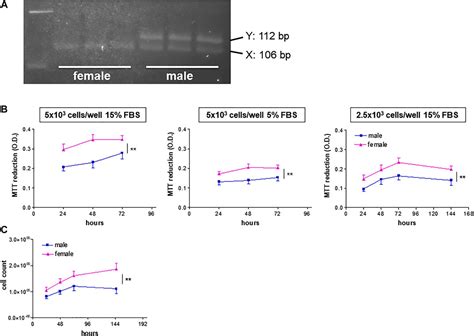 Frontiers Sex Differences In The Pro Angiogenic Response Of Human