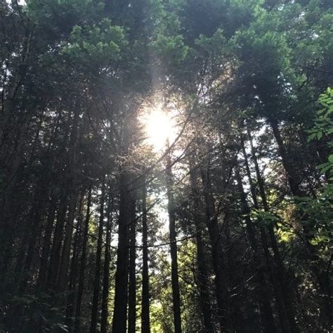 Creadores de vídeos porno amateur de Japón xHamster