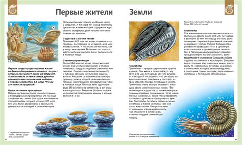 Купить книгу «Универсальная школьная энциклопедия», Франсуаза Перруден ...