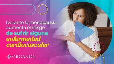 Menopausia Y Riesgo Cardiovascular Youtube