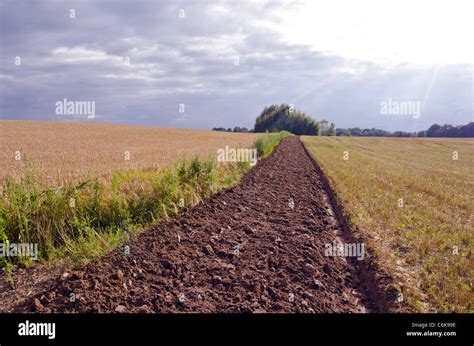 Summer End Tillage Trench In The Crop Field Stock Photo Alamy