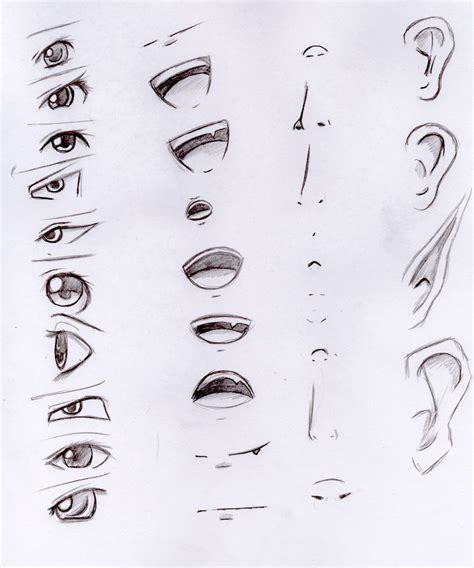 Anime Drawing Ideas Anime Nose Anime Eye Drawing Anime Drawings