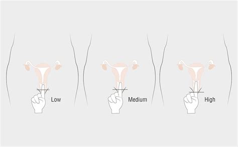 Finding Your Ideal Menstrual Cup By Measuring Your Cervix Size