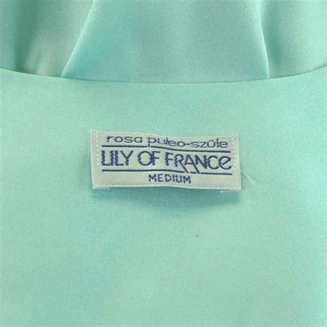 Lily Of France Peignoir Nightgown Robe Gem