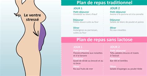 Types De Ventre Et Comment S En D Barrasser Ventre Ventre Gonfl