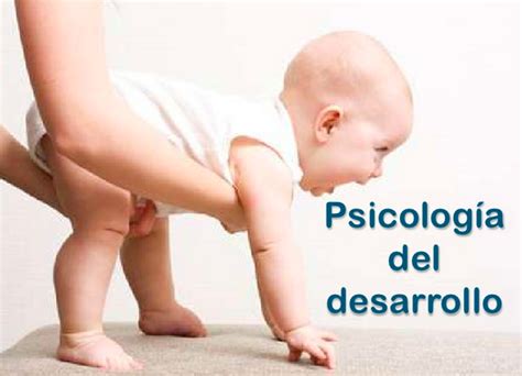 Sicología Del Desarrollo Conceptos Básicos De La Psicología Del Desarrollo