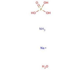 Ammonium Sodium Phosphate Dibasic Tetrahydrate Cas Scbt