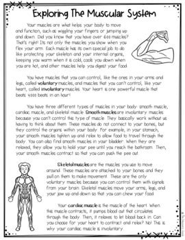 Human Body Systems Reading Comprehension Passages And Questions Pack