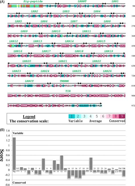 Evolutionarily Conserved Amino Acid Positions And Mean Evolutionary