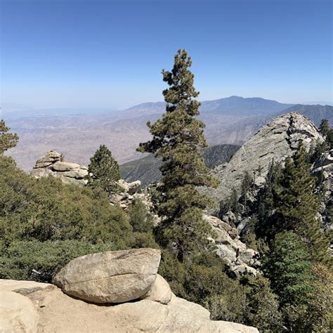 Palm Springs Aerial Tramway Tickets - Palm Springs | Tiqets.com