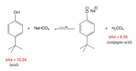 Explain Why P Tert Butylphenol Does Not React With NaHCO3 Homework