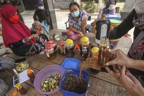 Pembuatan Eco Enzyme Dari Limbah Kulit Buah Antara Foto