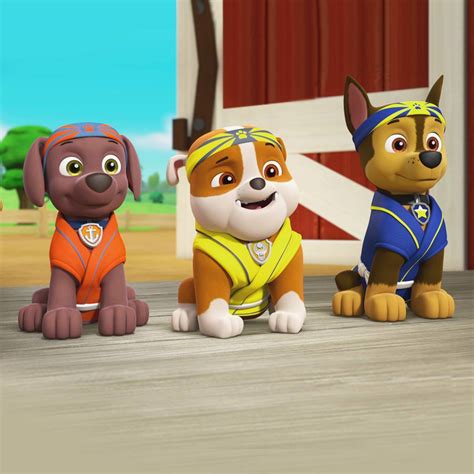 Paw Patrol Seizoen 2 Afl 19 Pup Fu Volledige Aflevering Nickelodeon