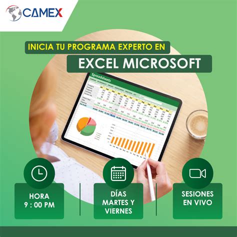 Programa Experto Excel Microsoft Camex