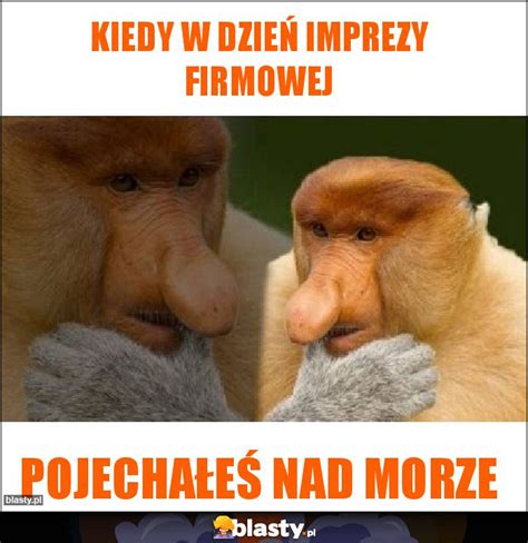 Kiedy w dzień imprezy firmowej memy gify i śmieszne obrazki facebook