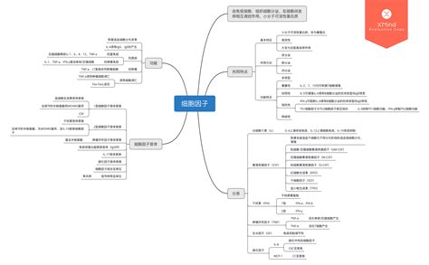 医学免疫学思维导图（一） 哔哩哔哩