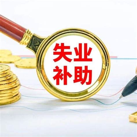 延续三个月！石家庄市失业补助金受理将延长至年后3月31日河北人石家庄人操作