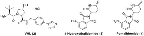 Representative E3 ligase ligands. | Download Scientific Diagram