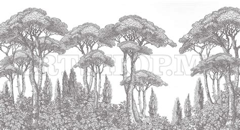 Купить Фотообои на Стену - Ботаника | Фотообои - Серые деревья | ARTSHOP