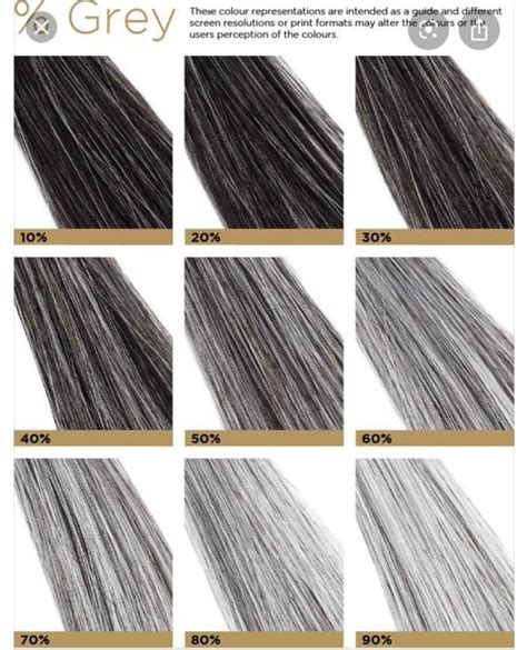 Gray Hair Color Chart