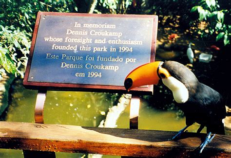 Parque Das Aves Reinaugura Viveiro Dedicado S Aves De Rios E