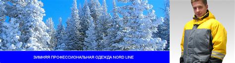 Профессиональная одежда: зимняя и летняя рабочая одежда для ...