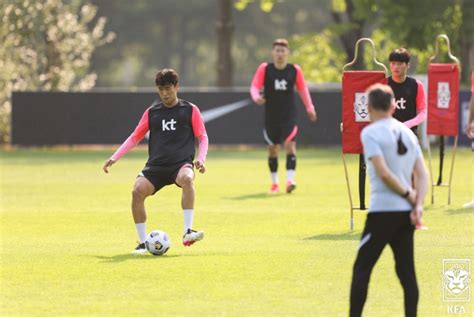 오늘자 대표팀 회복훈련 사진들 국내축구 에펨코리아